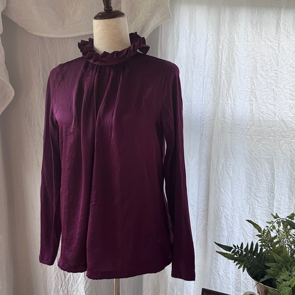 Banana Republic Tudor Inspired Oxblood Ruffle Neck Blouse - Picture 6 of 8